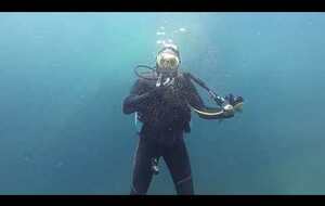 Plongée du 15 juillet 2025